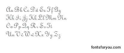 Обзор шрифта TypoUprightBt