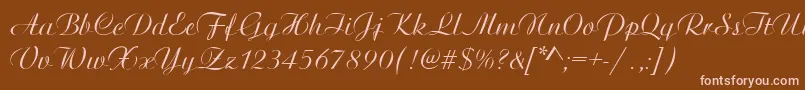 ArtisticRegular Font – Pink Fonts on Brown Background