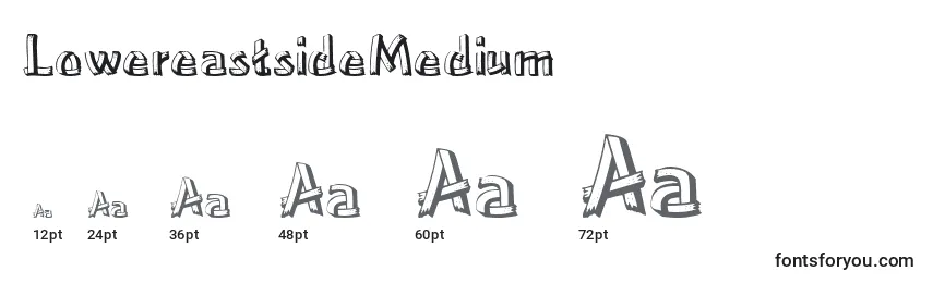 LowereastsideMedium Font Sizes