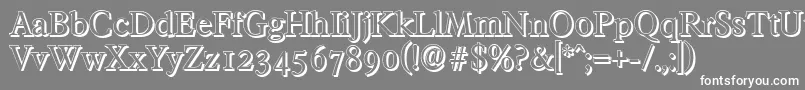 FranciscoshadowRegular Font – White Fonts on Gray Background