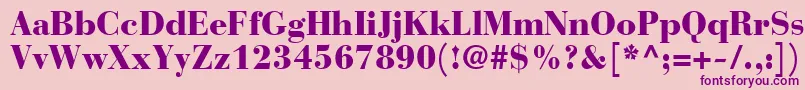 BodoniRecutBlackSsiBlack Font – Purple Fonts on Pink Background