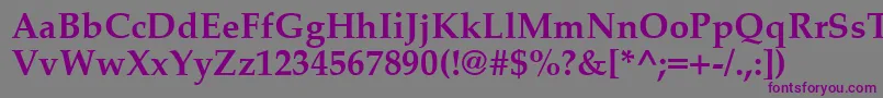 PalatinoCeBold Font – Purple Fonts on Gray Background