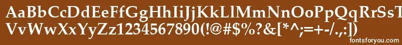 フォントPalatinoCeBold – 茶色の背景に白い文字