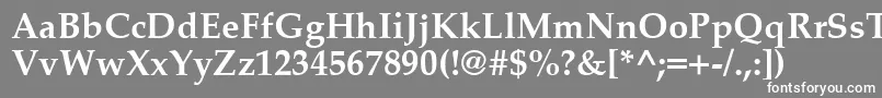 フォントPalatinoCeBold – 灰色の背景に白い文字