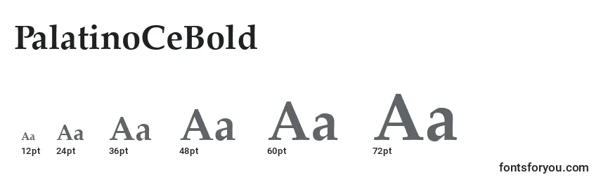 Размеры шрифта PalatinoCeBold