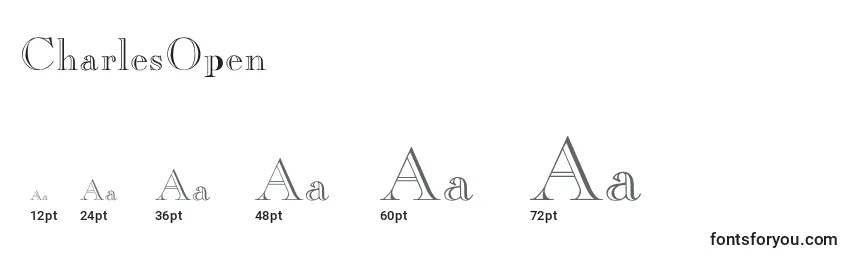 CharlesOpen Font Sizes