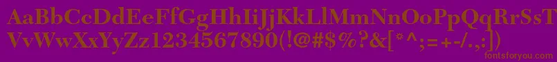 NewcaledonialtstdBold Font – Brown Fonts on Purple Background