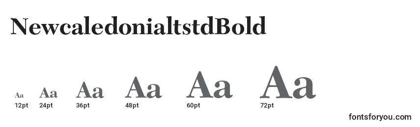 NewcaledonialtstdBold Font Sizes