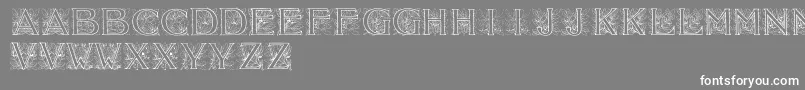 Acorn ffy Font – White Fonts on Gray Background