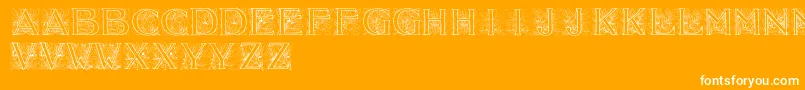 Acorn ffy Font – White Fonts on Orange Background