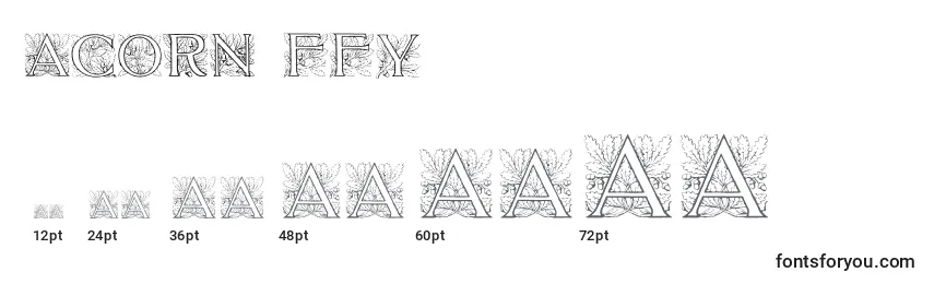 Acorn ffy Font Sizes