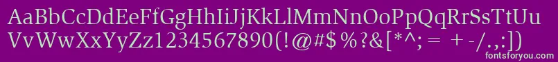 ItcSlimbachLtBook Font – Green Fonts on Purple Background