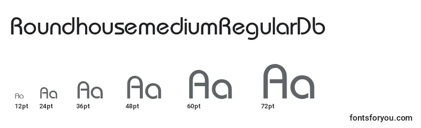 Размеры шрифта RoundhousemediumRegularDb