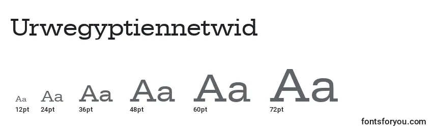 Размеры шрифта Urwegyptiennetwid