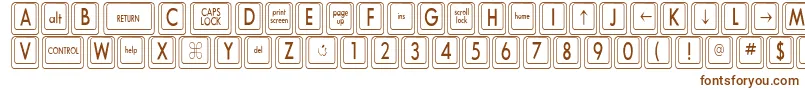 KeyboardKeyscnCondensed Font – Brown Fonts on White Background