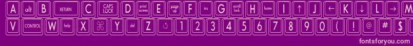 KeyboardKeyscnCondensed Font – Pink Fonts on Purple Background