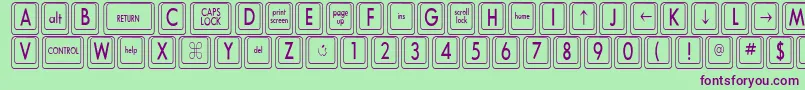 KeyboardKeyscnCondensed Font – Purple Fonts on Green Background