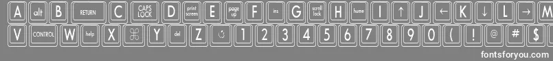 KeyboardKeyscnCondensed-Schriftart – Weiße Schriften auf grauem Hintergrund