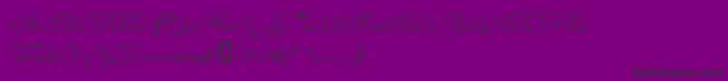 Czcionka AdinekirnbergAlternate – czarne czcionki na fioletowym tle