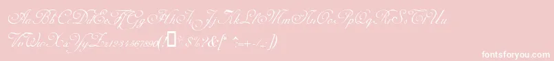 AdinekirnbergAlternate-Schriftart – Weiße Schriften auf rosa Hintergrund