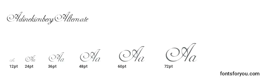 AdinekirnbergAlternate Font Sizes