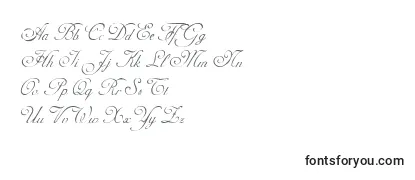AdinekirnbergAlternate Font