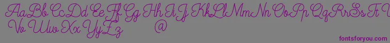 Mooglonk-fontti – violetit fontit harmaalla taustalla