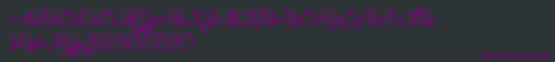 GentlemanInTheShadow Font – Purple Fonts on Black Background