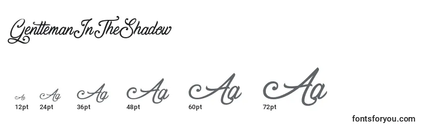 GentlemanInTheShadow Font Sizes