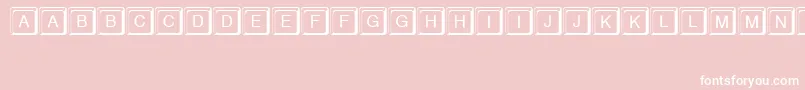 KeystrokeRegular Font – White Fonts on Pink Background