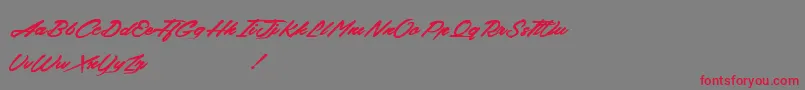 BackFromTheDead Font – Red Fonts on Gray Background