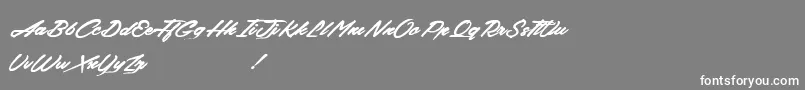 BackFromTheDead Font – White Fonts on Gray Background
