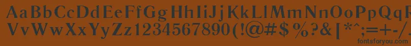 フォントLiteraturnaya107b – 黒い文字が茶色の背景にあります