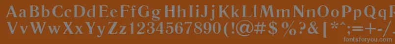 Literaturnaya107b-Schriftart – Graue Schriften auf braunem Hintergrund