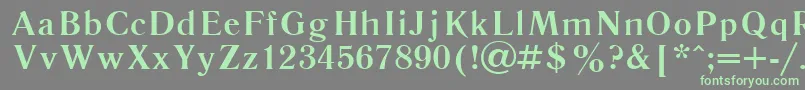 フォントLiteraturnaya107b – 灰色の背景に緑のフォント
