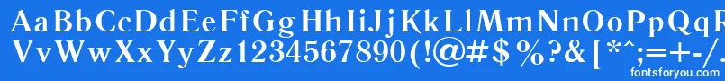 フォントLiteraturnaya107b – 青い背景に白い文字