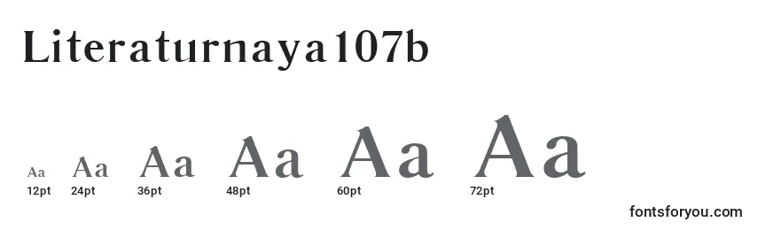 Größen der Schriftart Literaturnaya107b