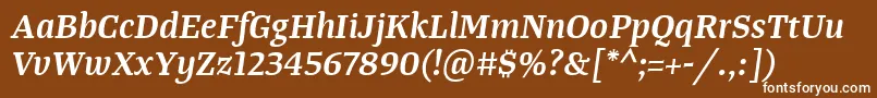 TangerserifmediumSemibolditalic Font – White Fonts on Brown Background