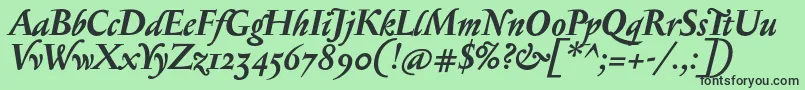 SerapionosfBolditalic Font – Black Fonts on Green Background