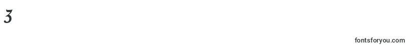 SerapionosfBolditalic Font – Fonts for Digit 3