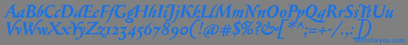 SerapionosfBolditalic Font – Blue Fonts on Gray Background