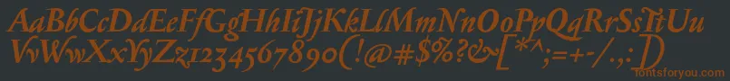 SerapionosfBolditalic Font – Brown Fonts on Black Background