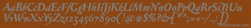 SerapionosfBolditalic Font – Gray Fonts on Brown Background