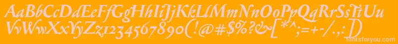 SerapionosfBolditalic Font – Pink Fonts on Orange Background