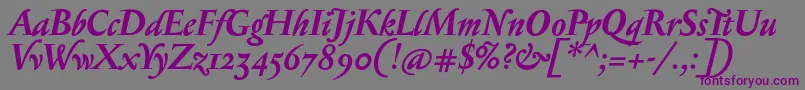 SerapionosfBolditalic Font – Purple Fonts on Gray Background