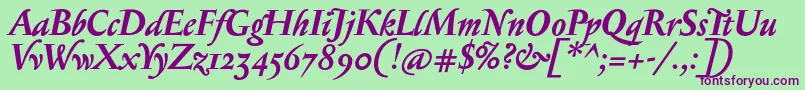 SerapionosfBolditalic Font – Purple Fonts on Green Background