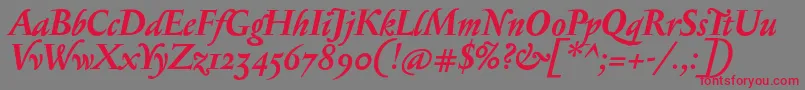 SerapionosfBolditalic Font – Red Fonts on Gray Background