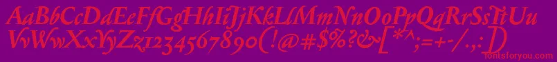 SerapionosfBolditalic-Schriftart – Rote Schriften auf violettem Hintergrund