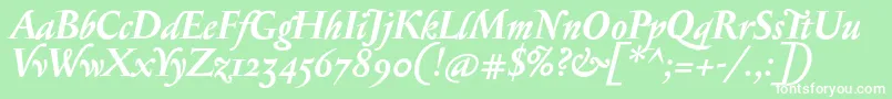 SerapionosfBolditalic Font – White Fonts on Green Background