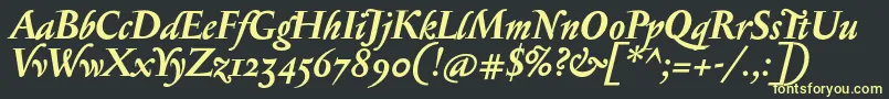 SerapionosfBolditalic Font – Yellow Fonts on Black Background